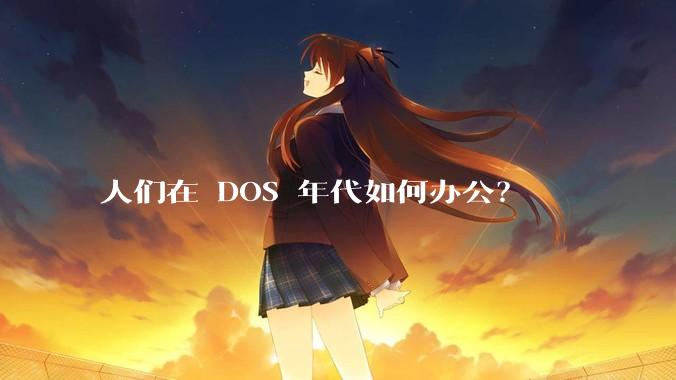 人们在 DOS 年代如何办公？